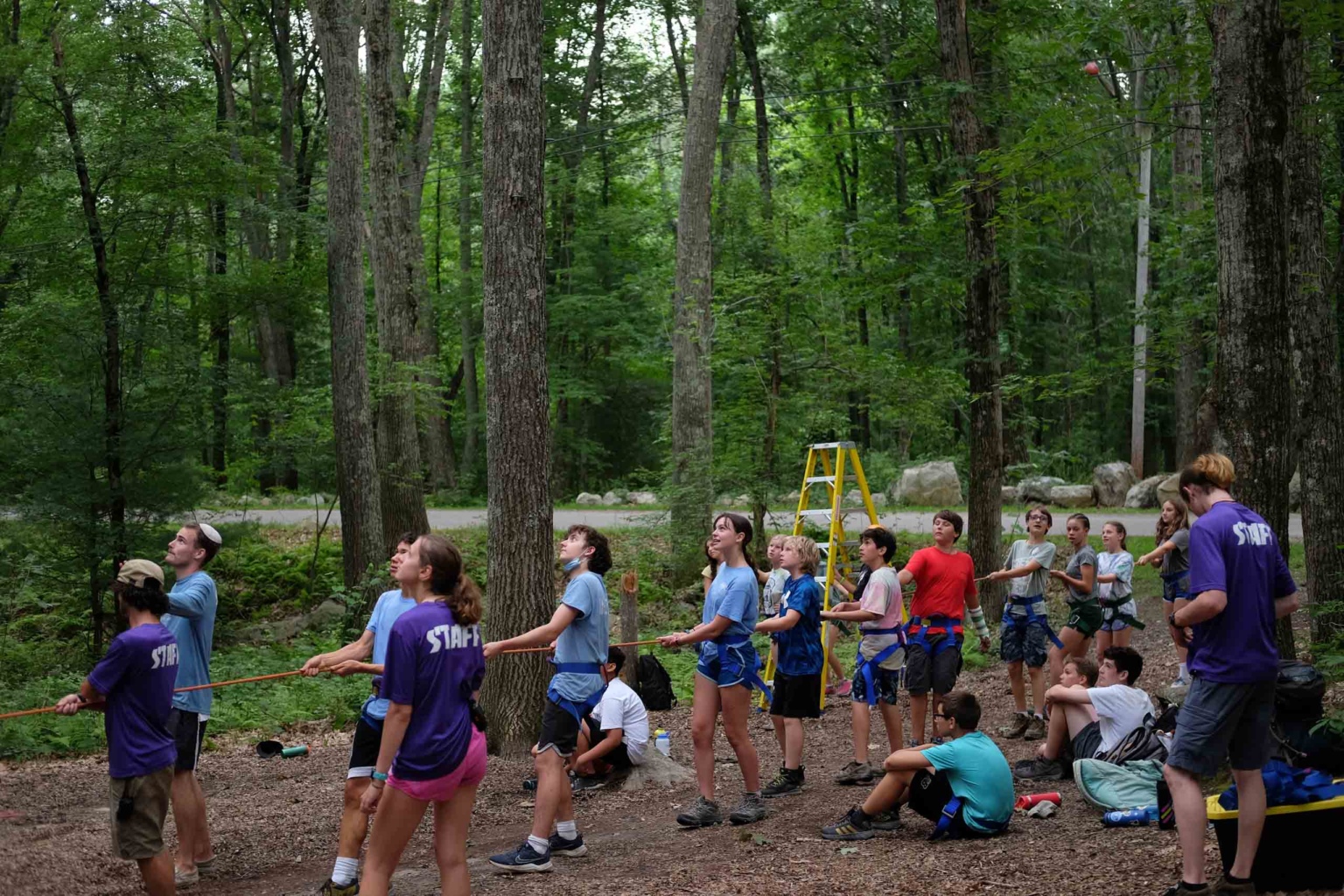 Kids doing a rope course.