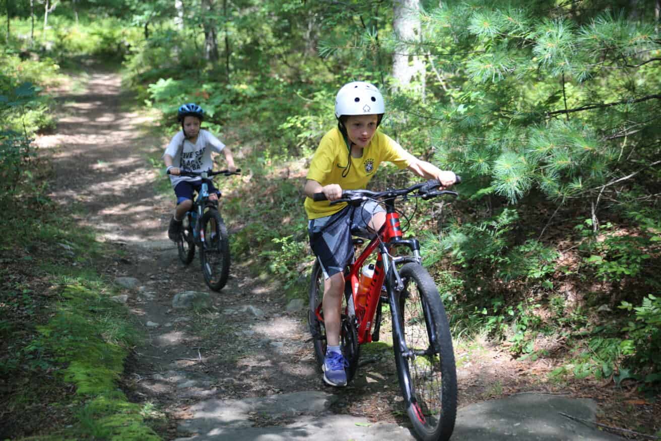 Kids riding bikes through the woods.