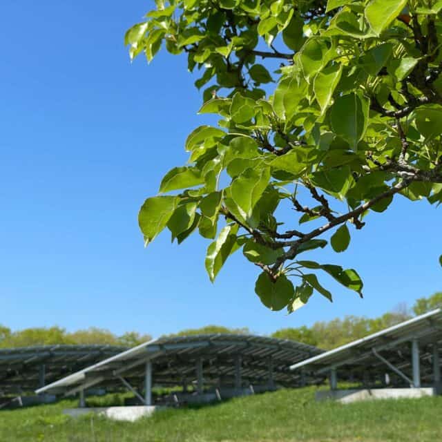 Solar panels.
