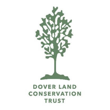 Dover Land Logo