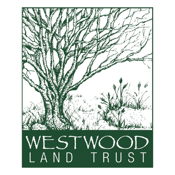 Conservation & Sustainability Hale Education