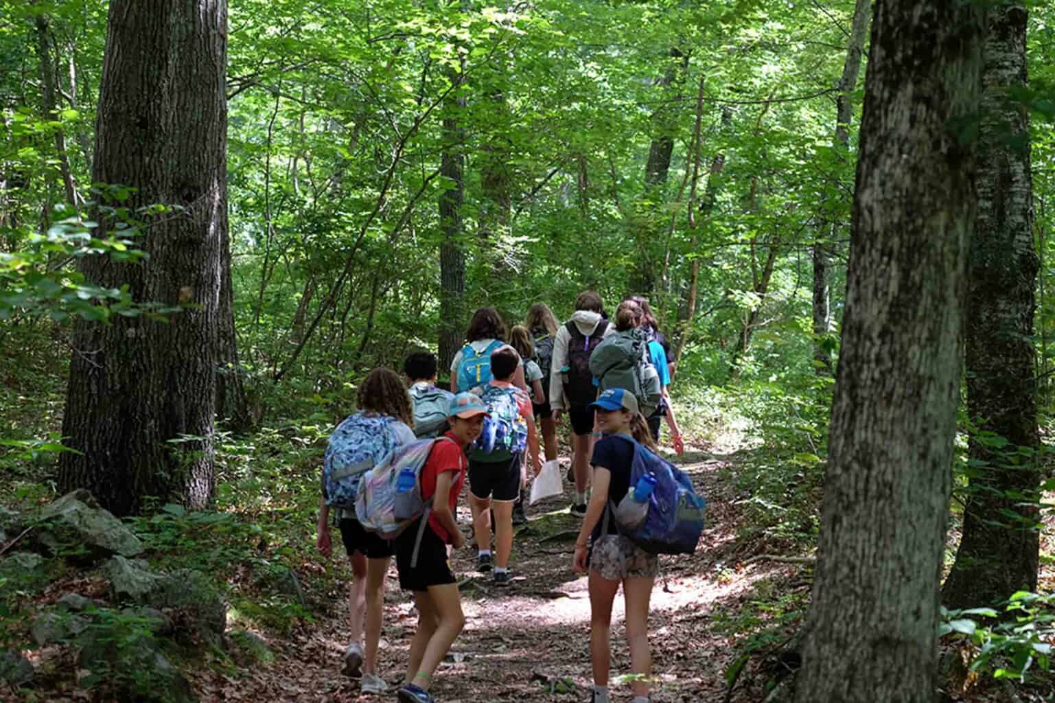 Campers hiking through woods.