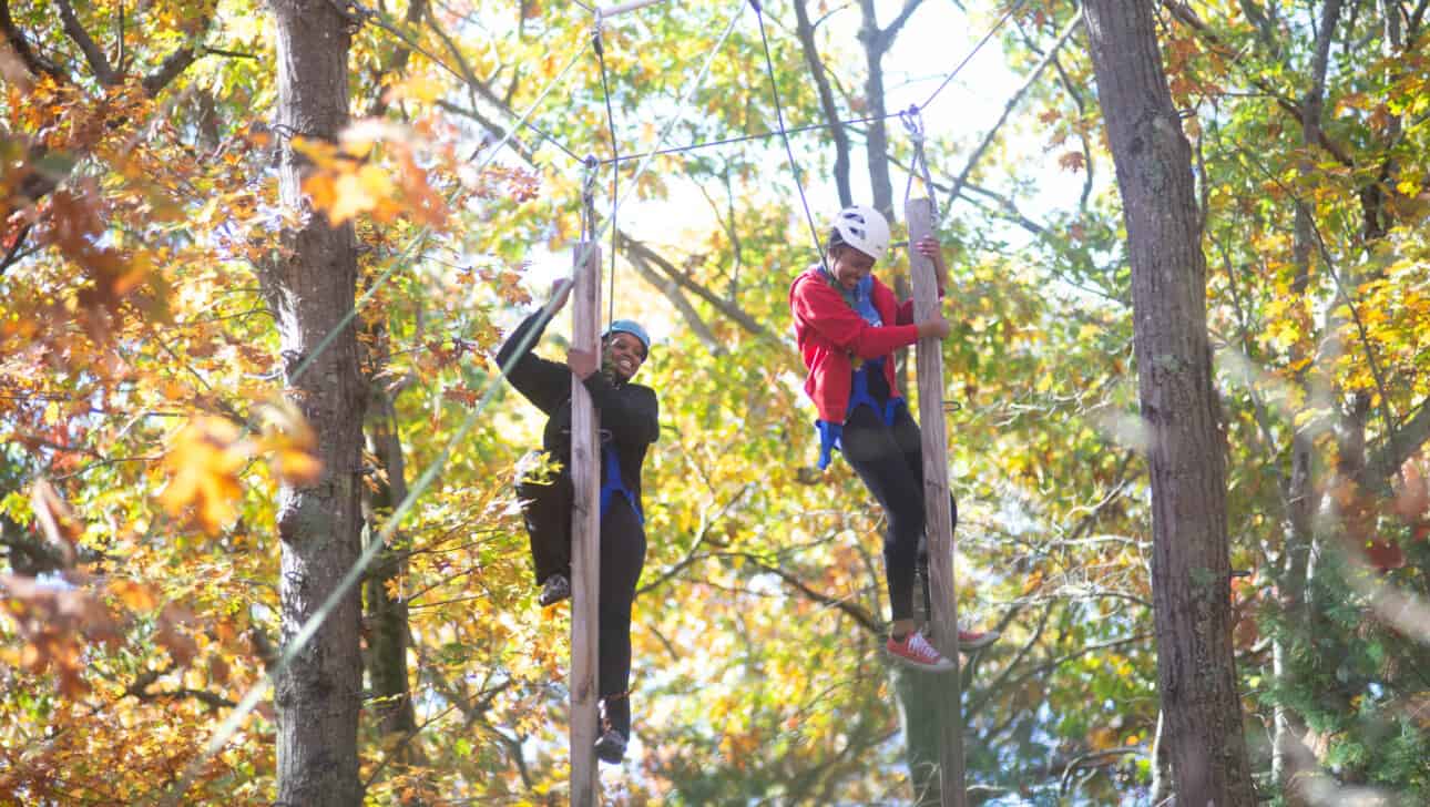 Students climbing trees with harnesses.