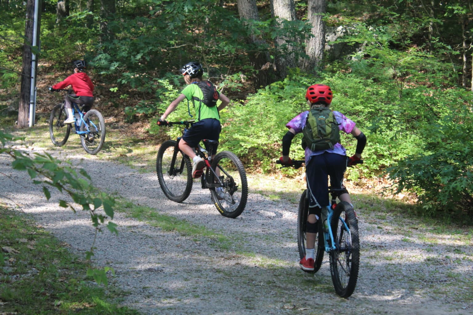 Campers ride along a trail on mountain bikes.