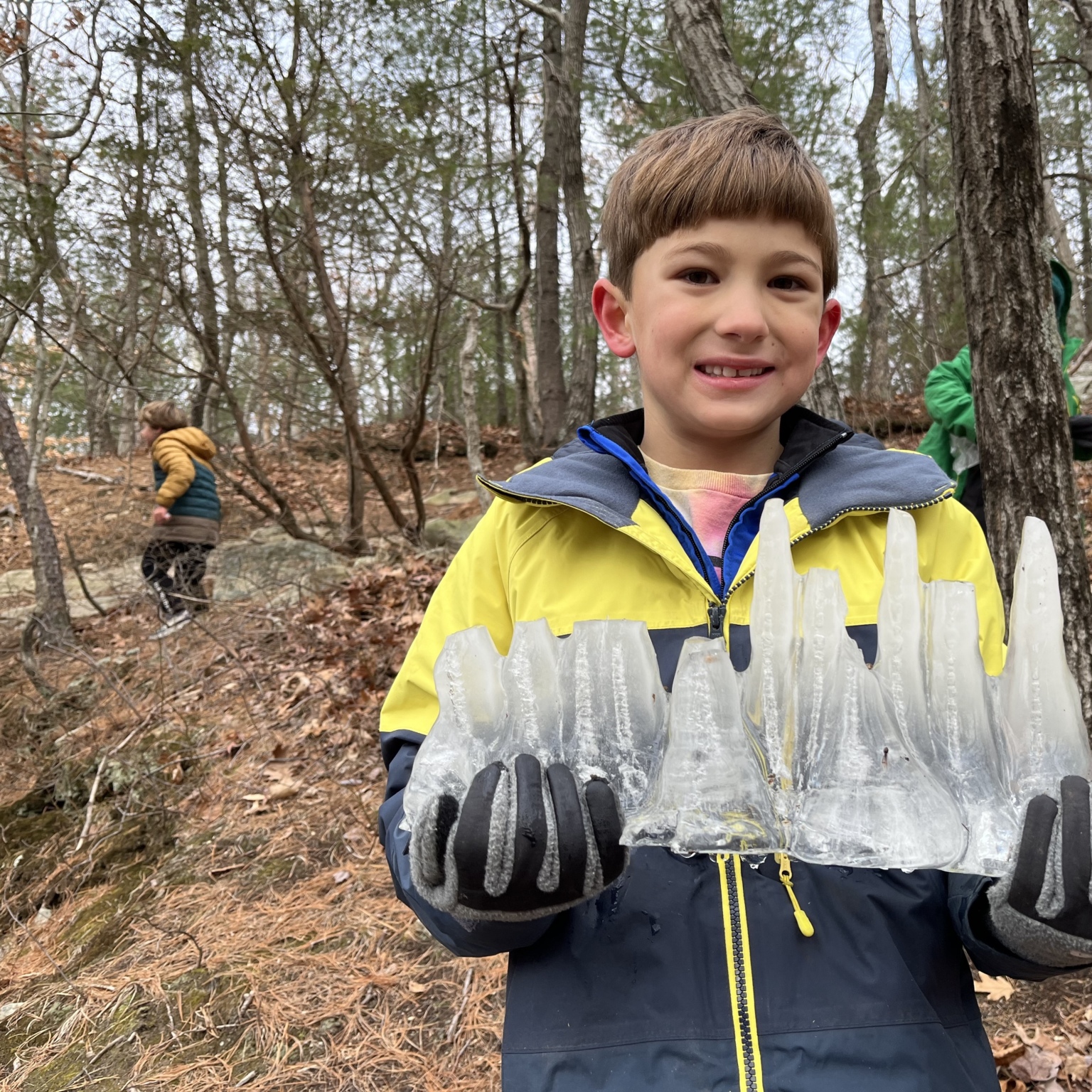 A boy finds a sculptural piece of ice in the woods.