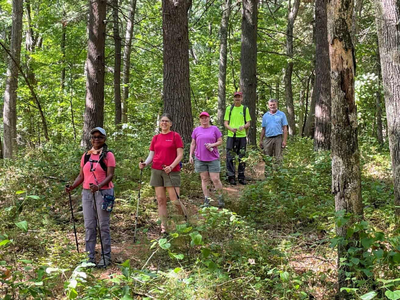 A group of people hiking in the woods.
