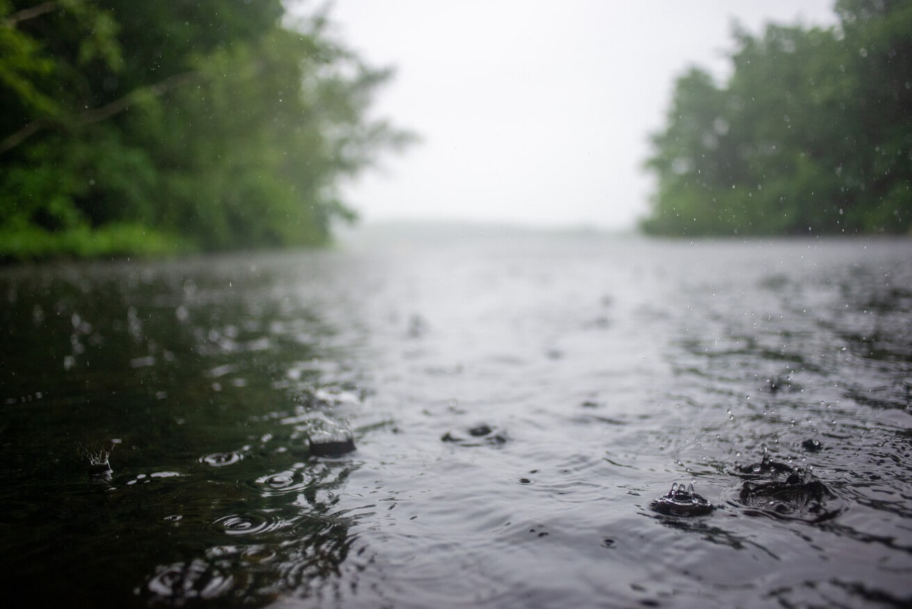 Raindrops splash on a pond's surface.