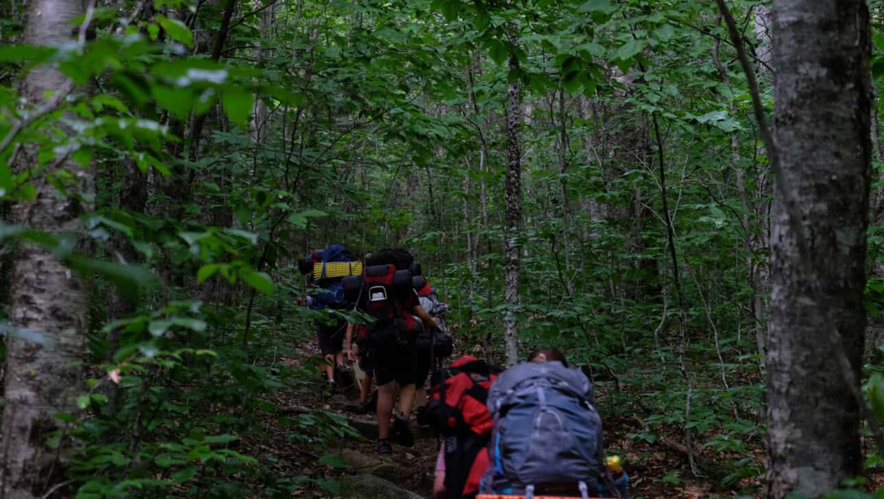 A group of people hiking in the woods with backpacks.