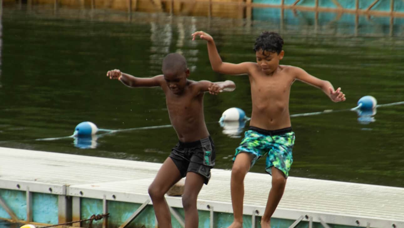 A group of kids jumping into the water.