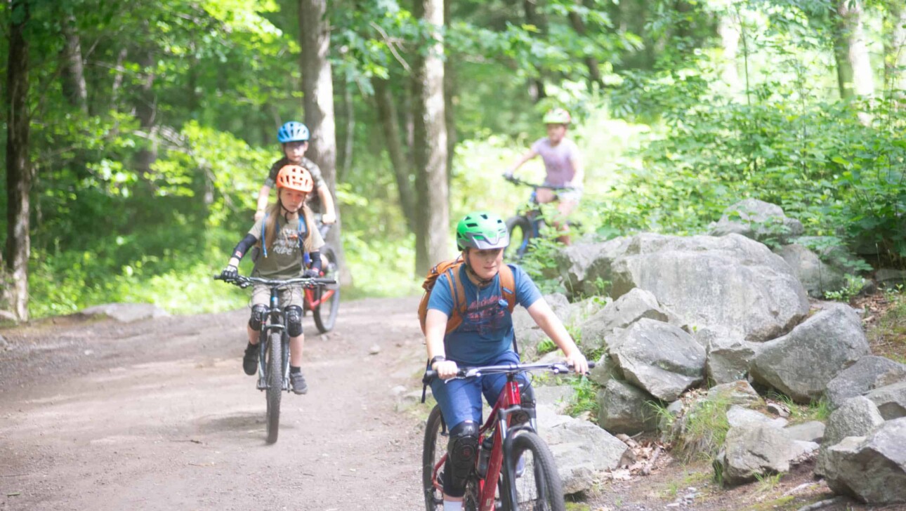 A group of people riding bikes on a trail in the woods.