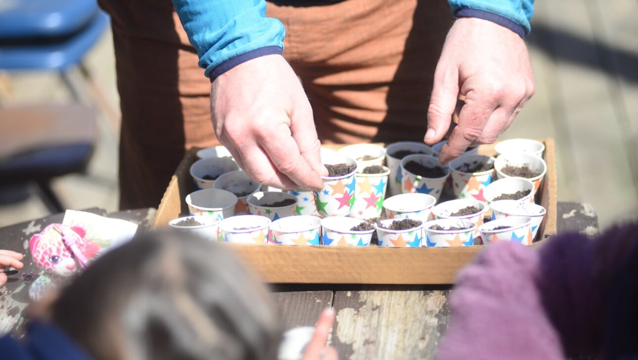 Children plant seeds in paper cups