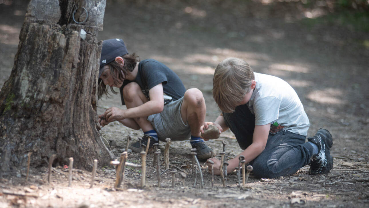 Two boys making a structure from sticks in the woods.