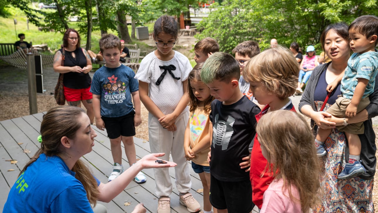 A group of children learn about a baby turtle at an outdoor museum.