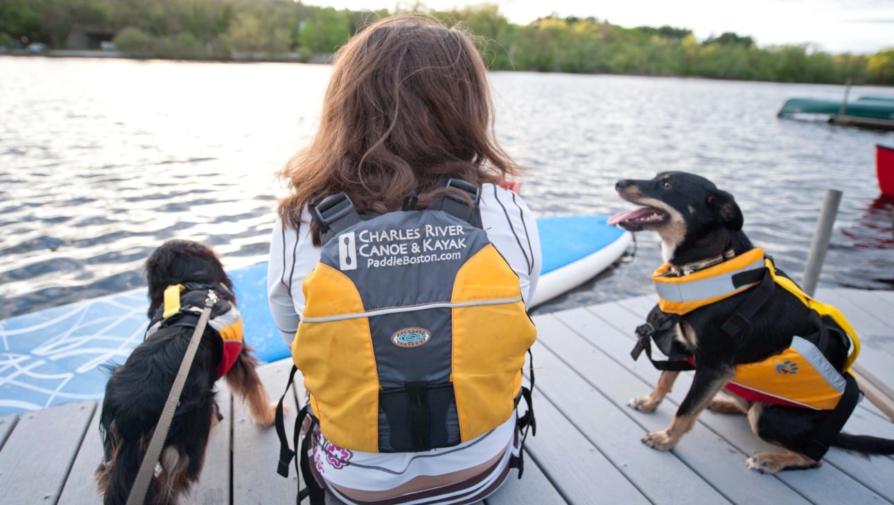 A girl sits on a dock with two dogs and a paddleboard in front of her.