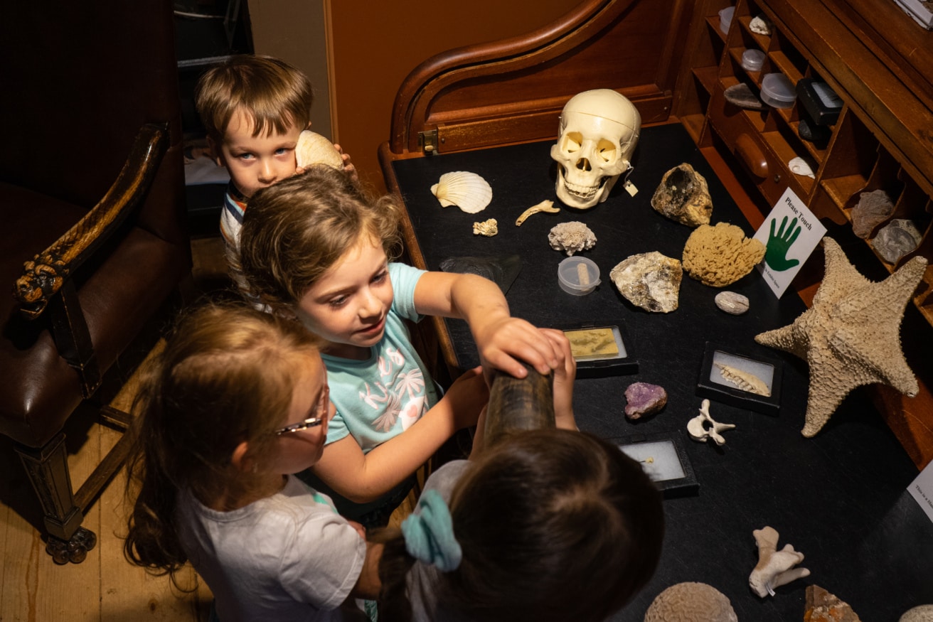 Children explore a sensory exhibit of seashells, amethyst, rocks, a starfish, and vertebrae at a science museum.