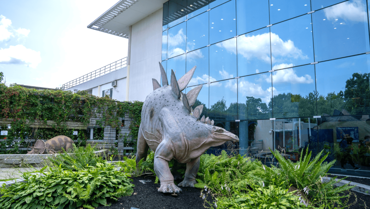 A large model of a stegosaurus outside a science museum.