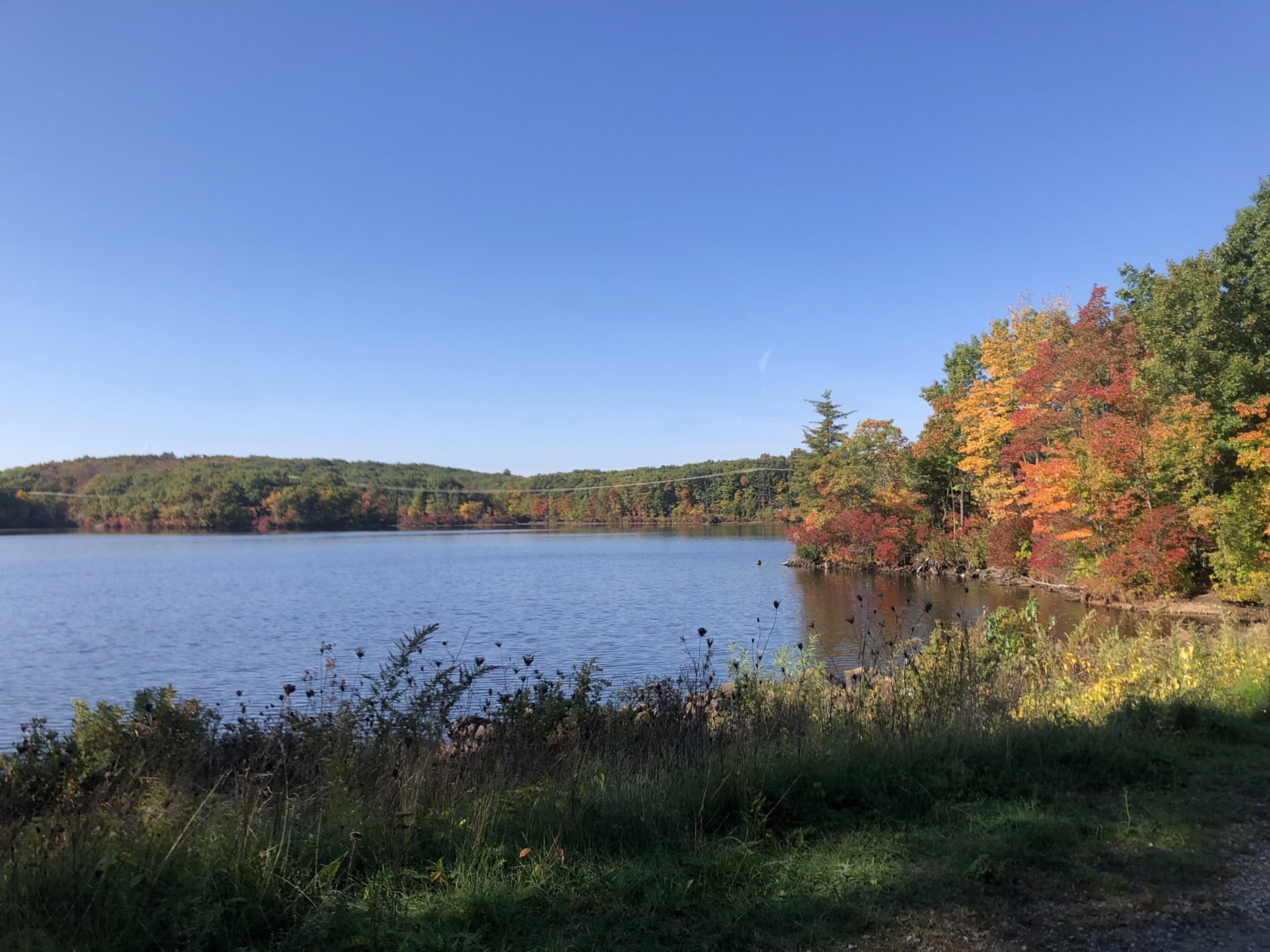 A calm pond is surrounded by trees in early autumn with foliage turning red and yellow, under a clear blue sky.