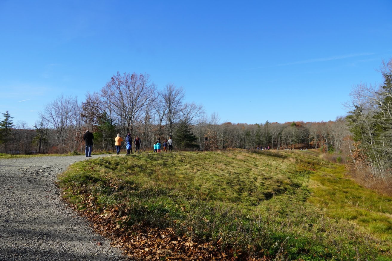 A group of people walk along a gravel path and through a grassy field bordered by bare trees under a clear blue sky.