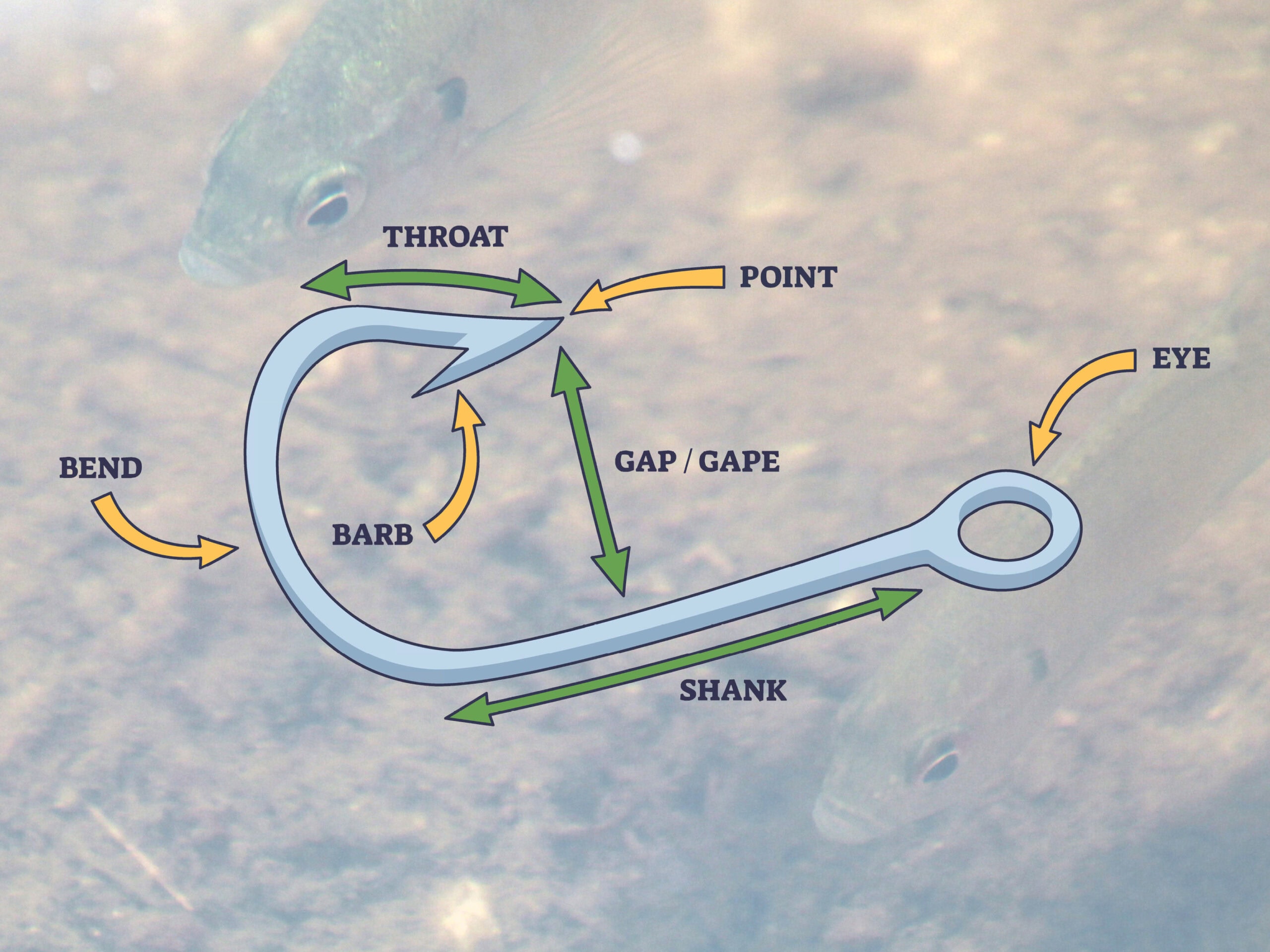 Diagram of a fish hook labeled with its parts: bend, barb, throat, point, gap/gape, shank, and eye, overlaid on an underwater background with fish.