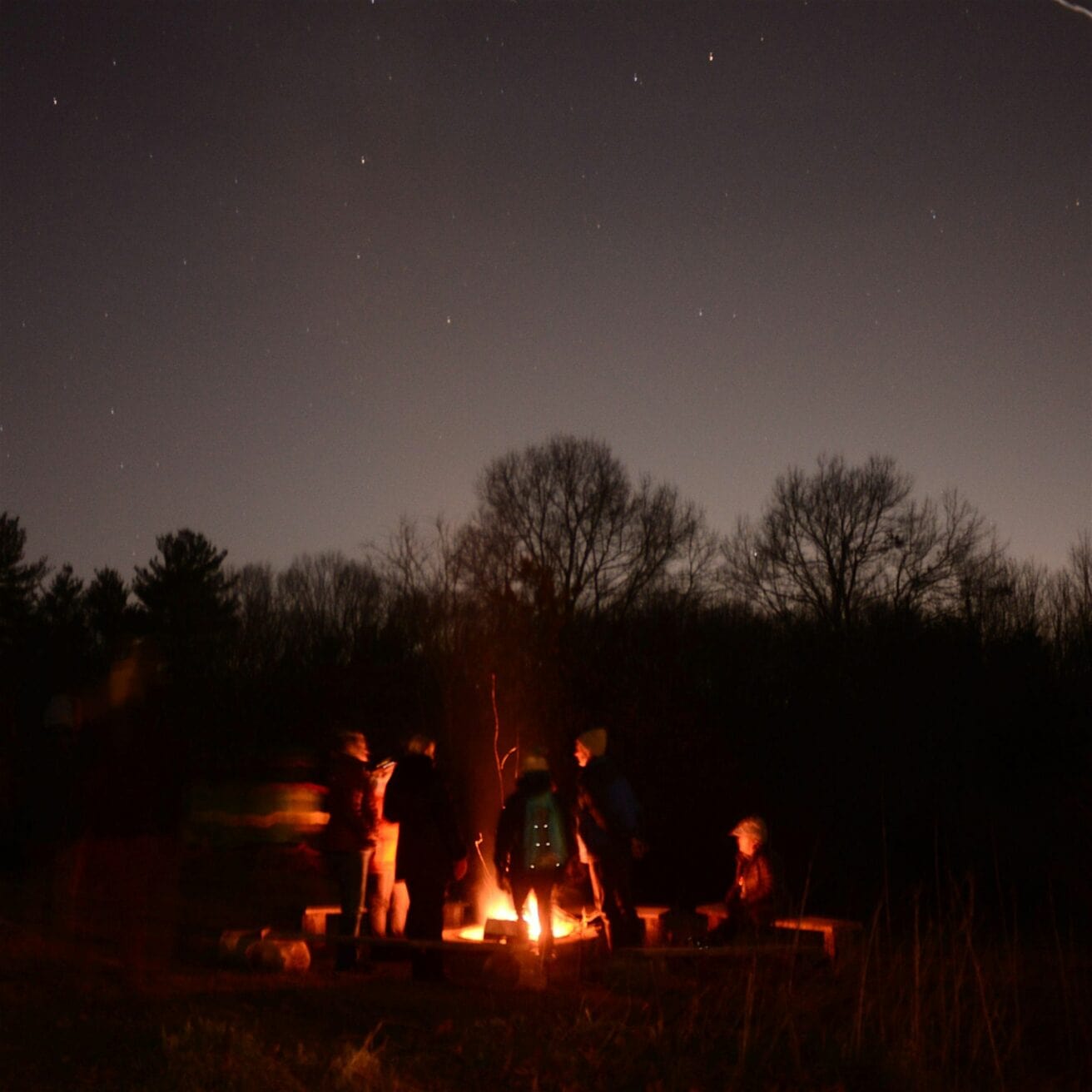 A group of people sit and stand around a campfire at night, with bare trees and a starry sky in the background.
