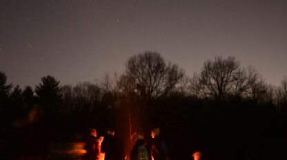 A group of people sit and stand around a campfire at night, with bare trees and a starry sky in the background.