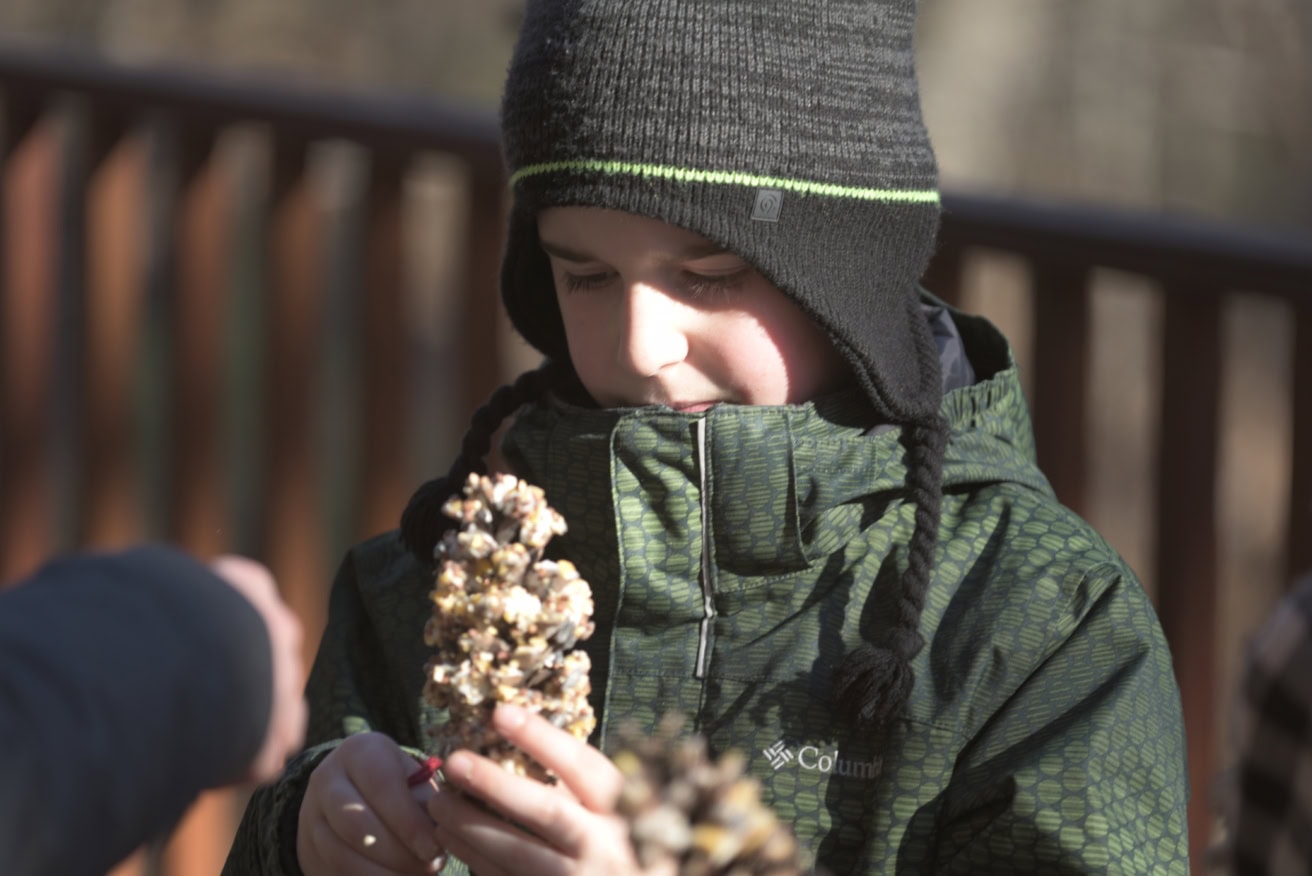 A child wearing a winter coat and hat holds a pinecone covered in seeds, standing outdoors near a wooden railing.