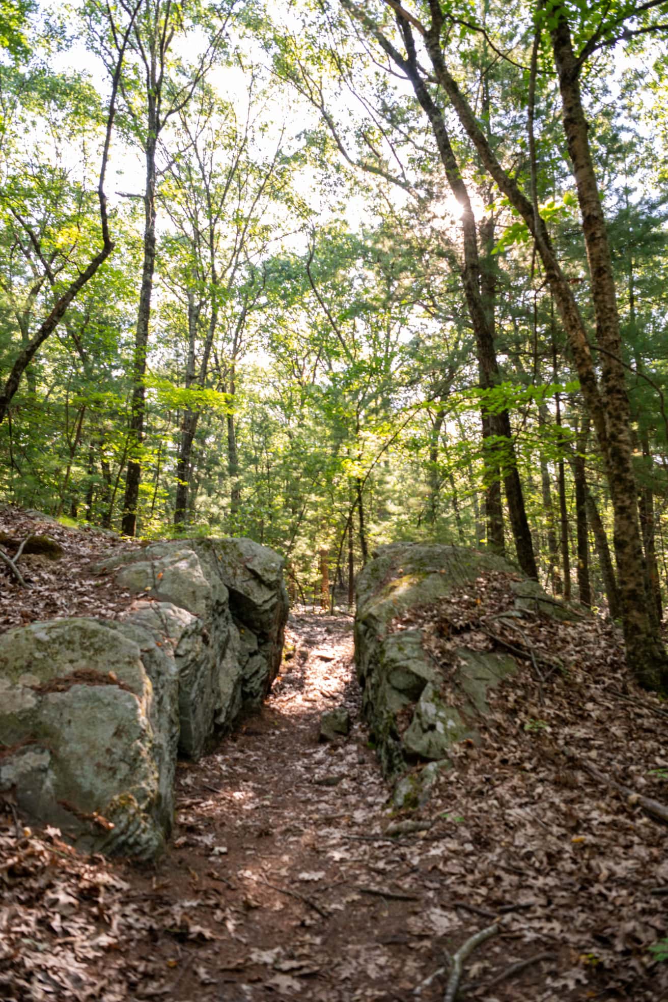 A dirt path runs between two large rocks in a wooded forest area, with sunlight filtering through the trees.