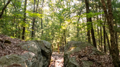 A dirt path runs between two large rocks in a wooded forest area, with sunlight filtering through the trees.