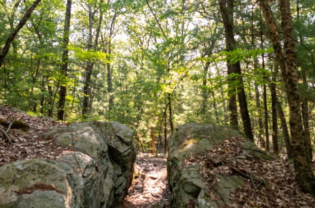 A dirt path runs between two large rocks in a wooded forest area, with sunlight filtering through the trees.