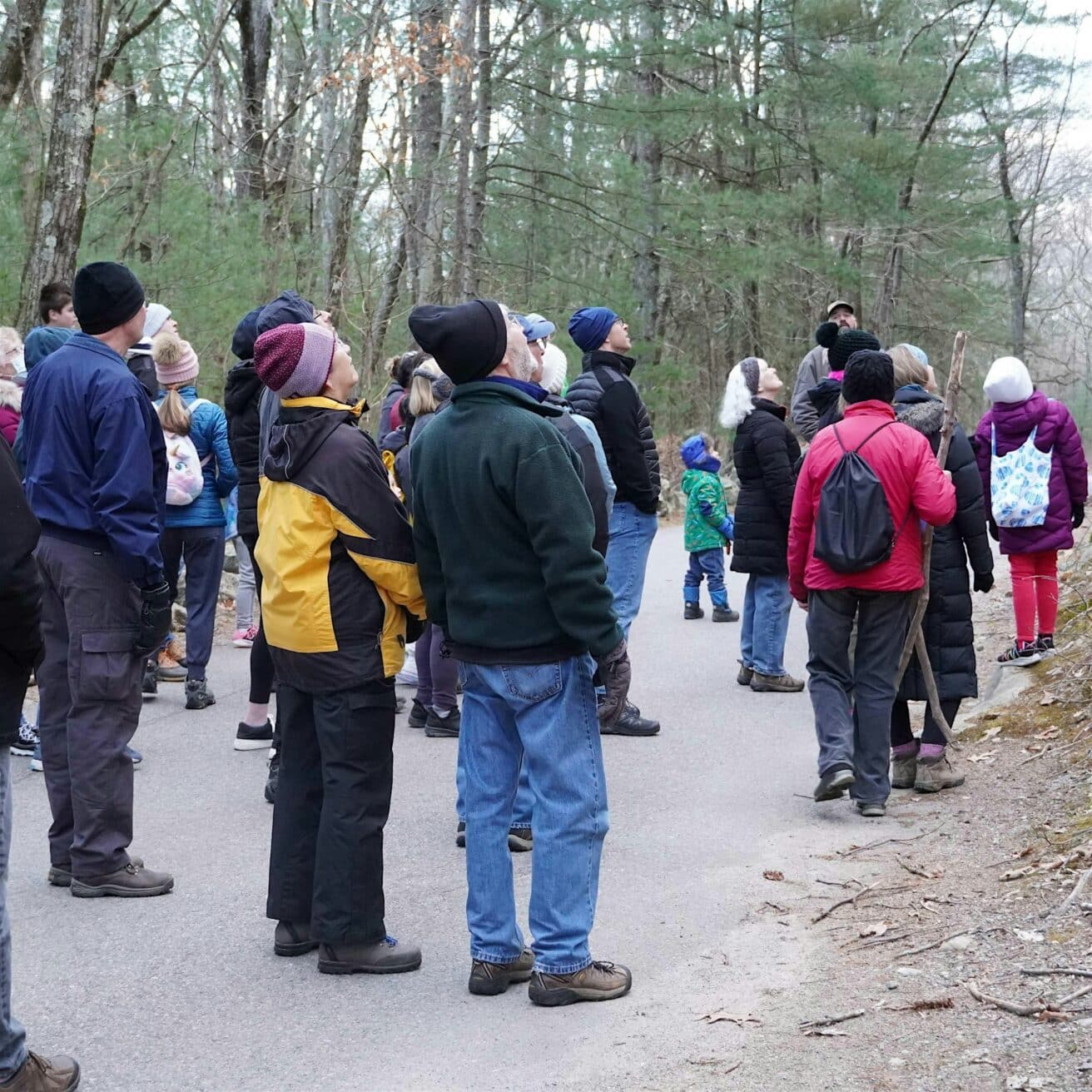 A group of people in outdoor clothing stand on a paved path in a forested area, looking in the same direction, possibly listening to a guide.
