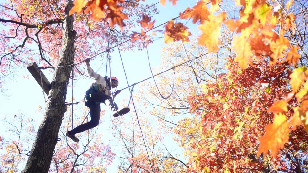 A person wearing safety gear navigates a ropes course among tall trees with bright autumn foliage under a clear blue sky.