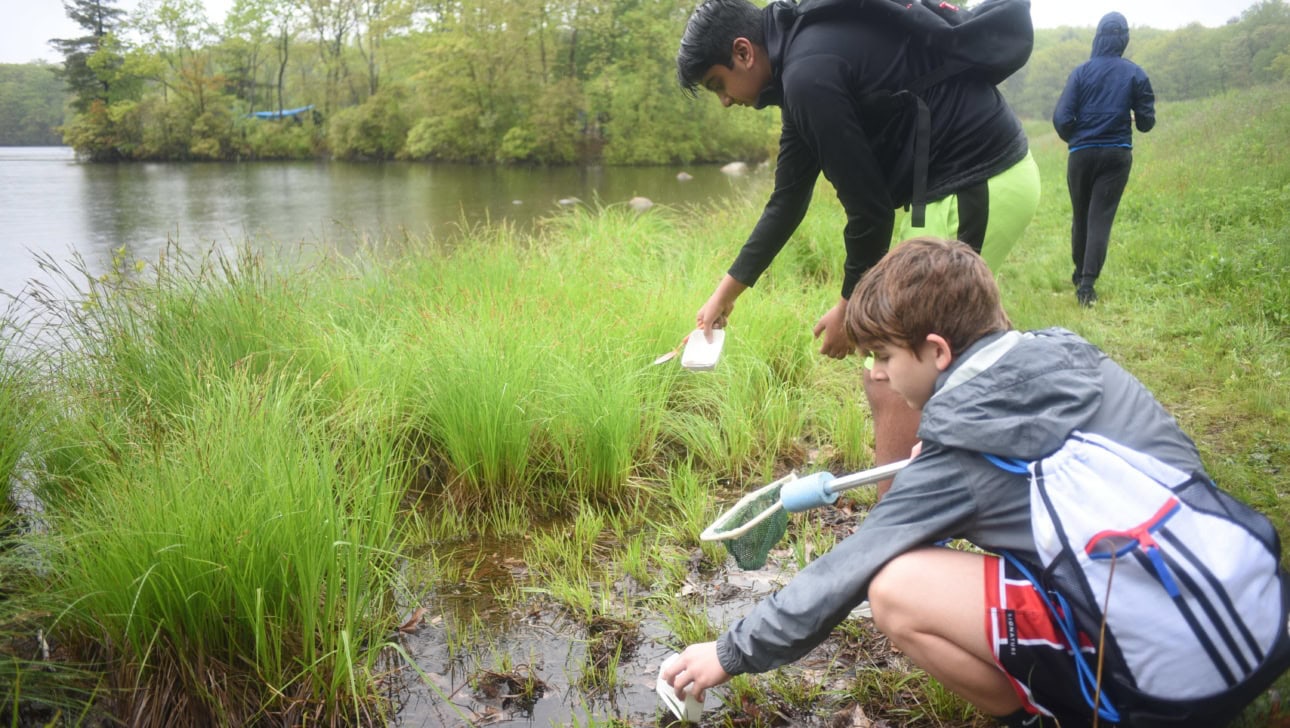 Two people collect water samples from the edge of a lake using small containers, while another person stands nearby. The setting is outdoors near water with green vegetation.