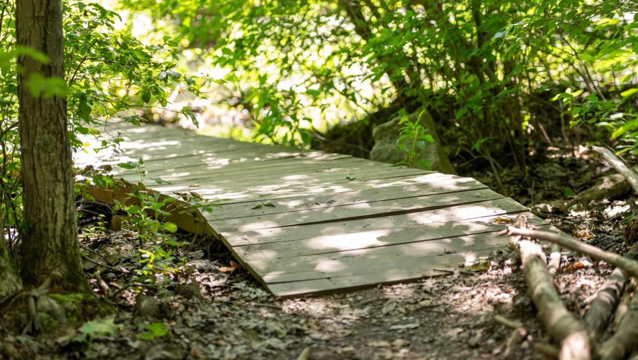 A wooden footbridge crosses a dirt path in a sunlit forest, surrounded by green foliage and scattered leaves on the ground.