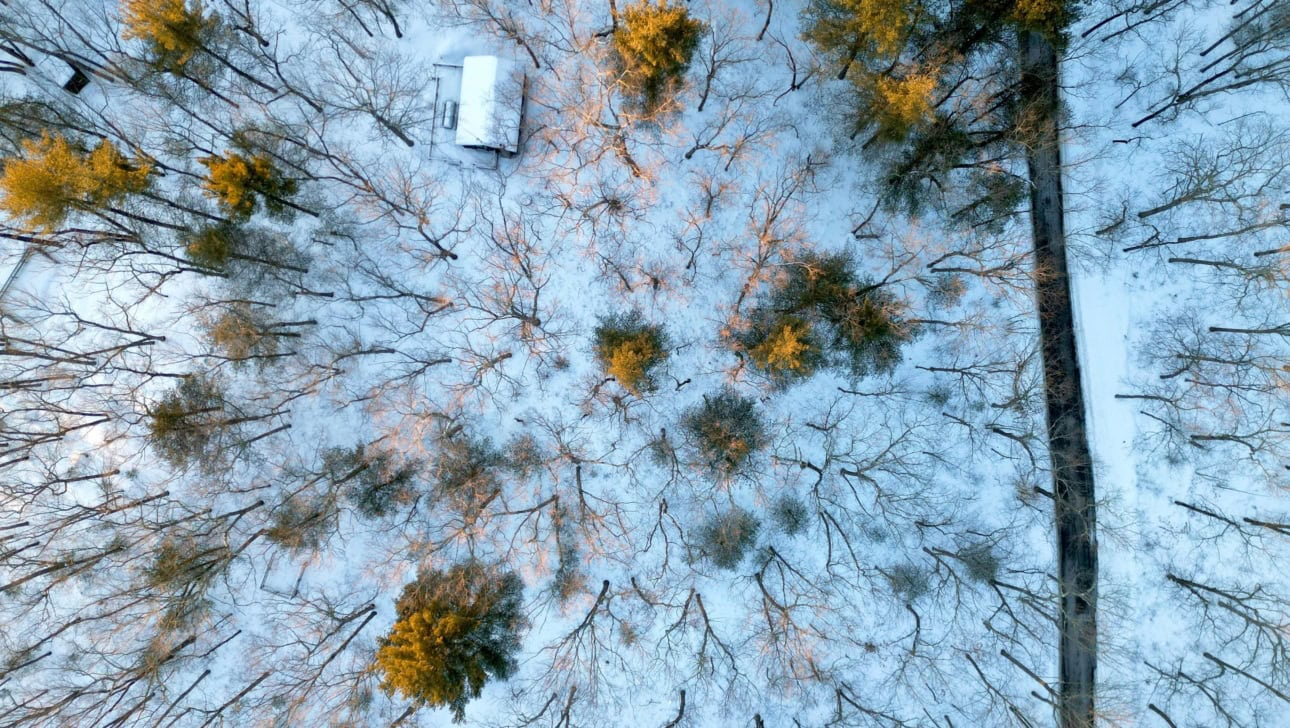 Aerial view of a snow-covered forest with scattered trees, a small white-roofed cabin, and a dark road running along the right side.