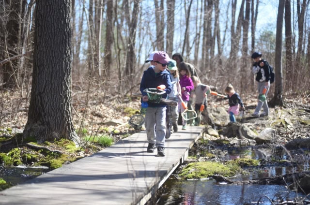 Children and adults walk on a wooden path through a forest carrying nets and buckets on a sunny day, participating in conservation activities that help protect the natural environment.