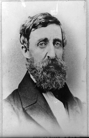 Black and white portrait of a middle-aged man with wavy hair, a full beard, and mustache, wearing a suit jacket and bow tie, looking directly at the camera.